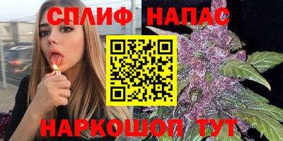 тгк Камень-на-Оби