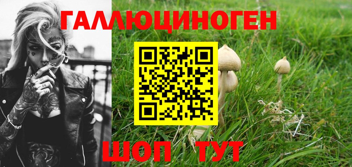 Галлюциногенные грибы MAGIC MUSHROOMS  Вход с VPN  Каспийск 